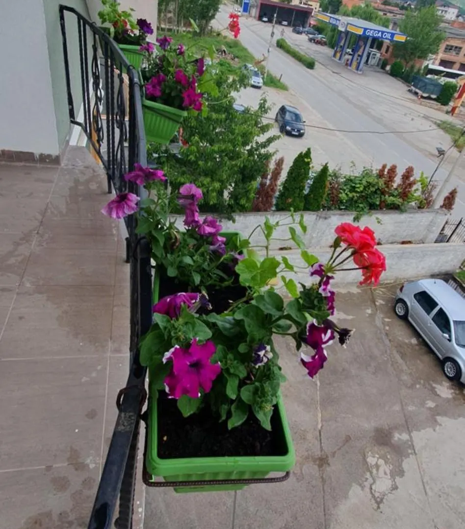 Arbi Guest House Kukes Albanien